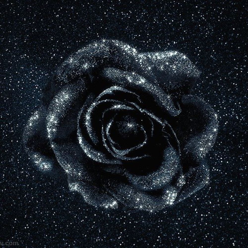 Meet your Posher, Mezohn